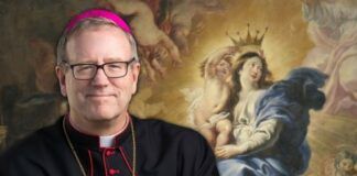 El obispo Barron llama a rezar 10.000 rosarios.