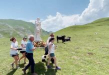 La peregrinación de Madre Ven atraviesa un campo verde con vacas.