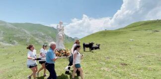 La peregrinación de Madre Ven atraviesa un campo verde con vacas.